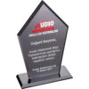 EKT-161-FM Füme Kristal Plaket