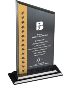 EKT-315 Kristal Plaket