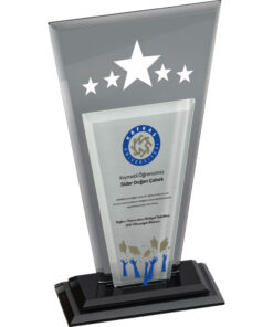 EKT-360 Kristal Plaket