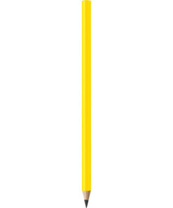 Sari